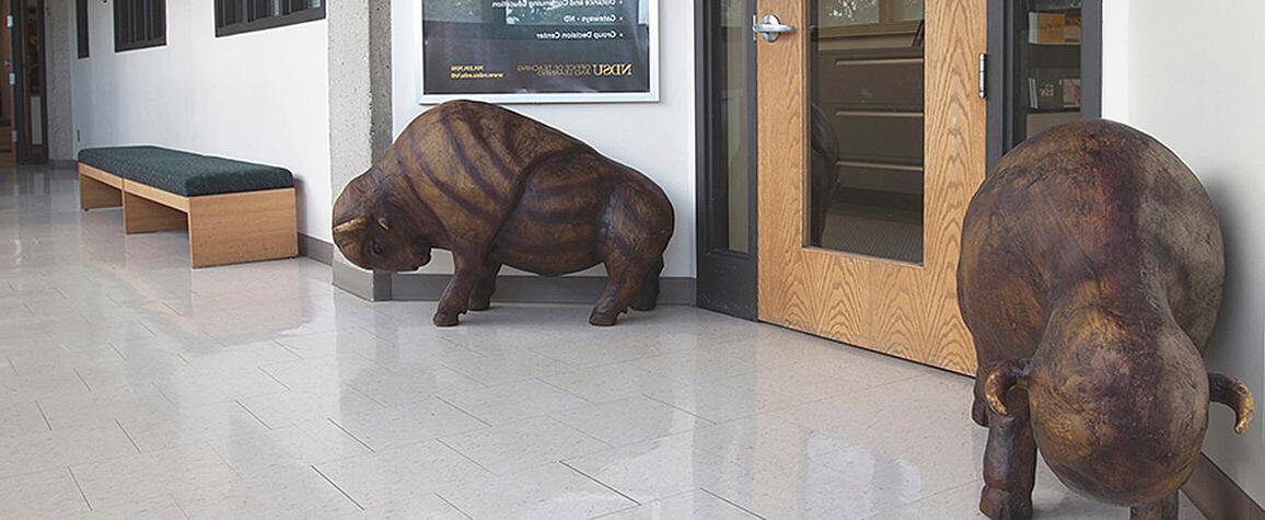 bison statues in front of OTL office doors